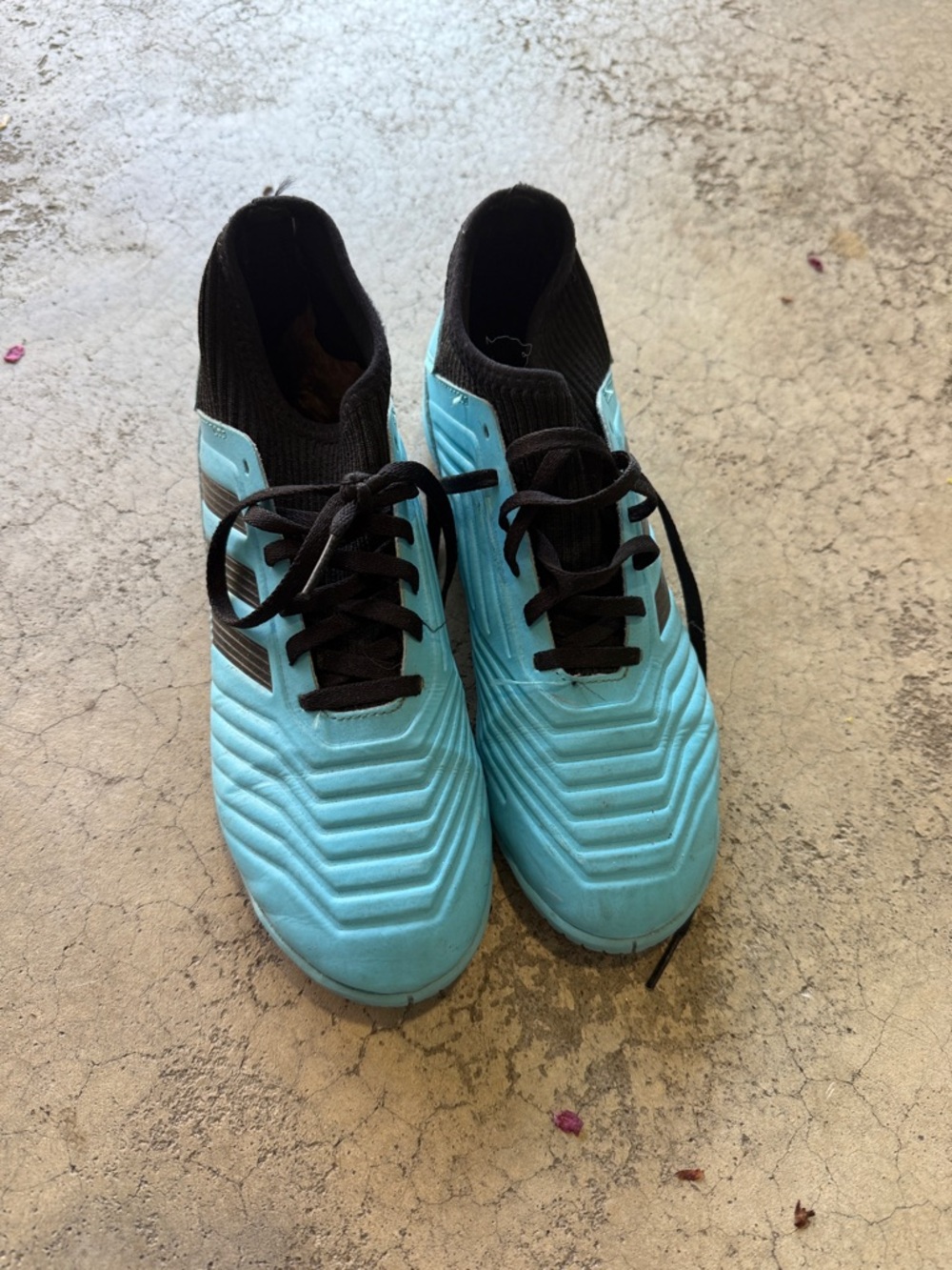 adidas Men's Aqua Blue Athletic Soccer Shoes with Black Accents
